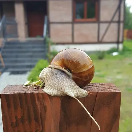 Holiday home Dom Pod Klonami *