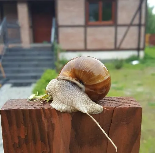 Holiday home Dom Pod Klonami *